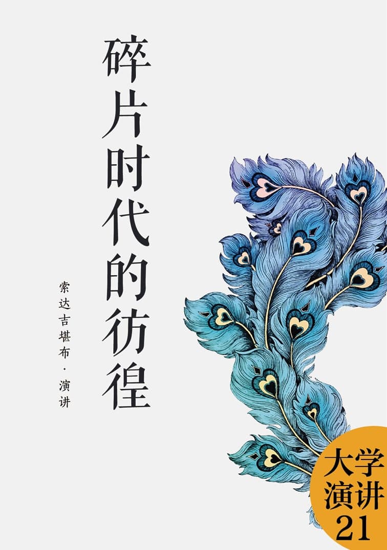 碎片时代的彷徨