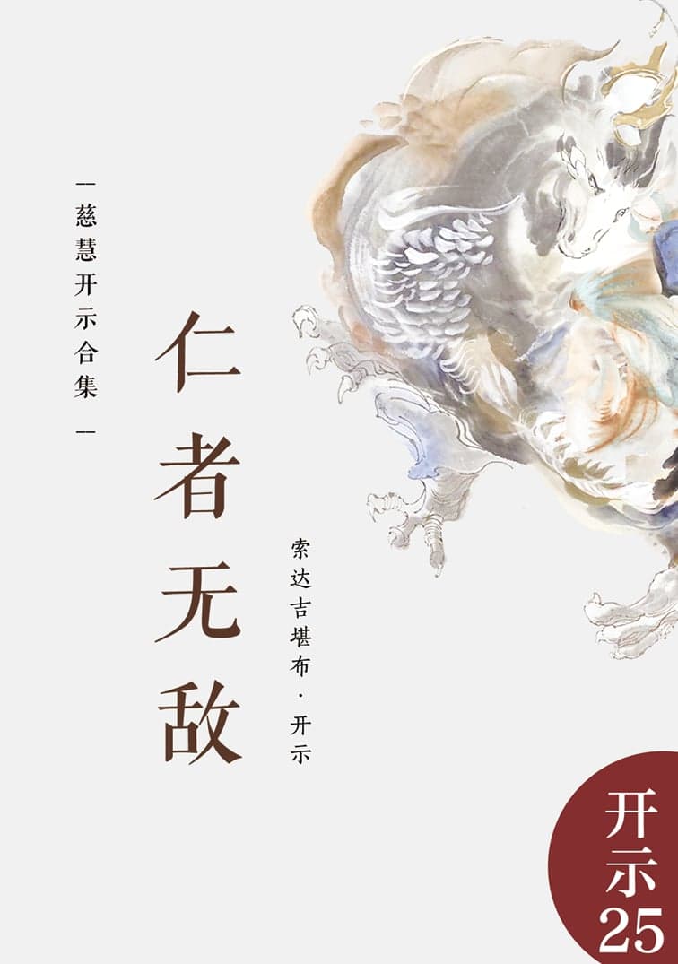 仁者无敌：慈慧开示合集